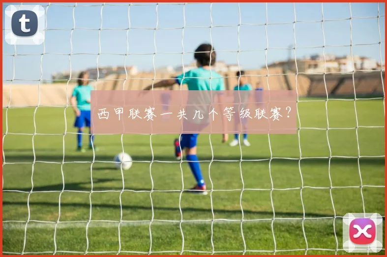 西甲联赛一共几个等级联赛？