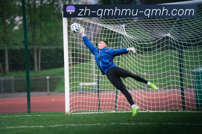 多媒体互动体验